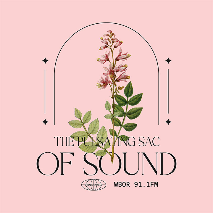 The Pulsating Sac Of Sound Flower Logo 2024