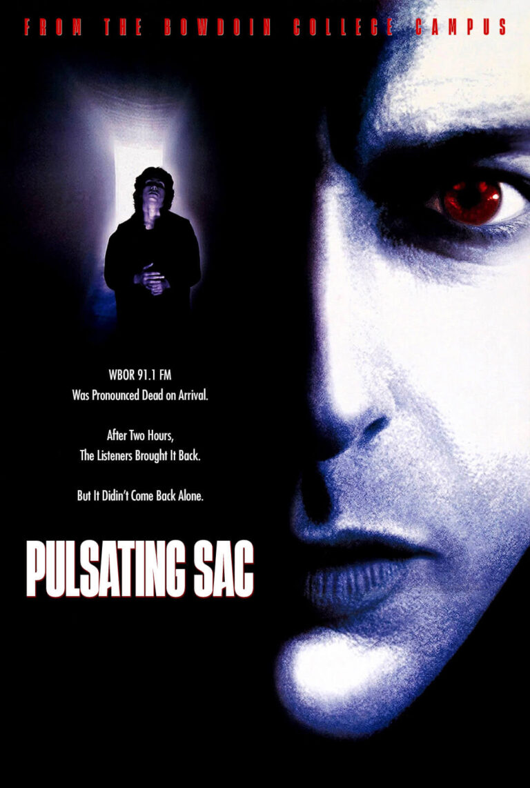 The Pulsating Sac Of Sound - Hideaway - Poster