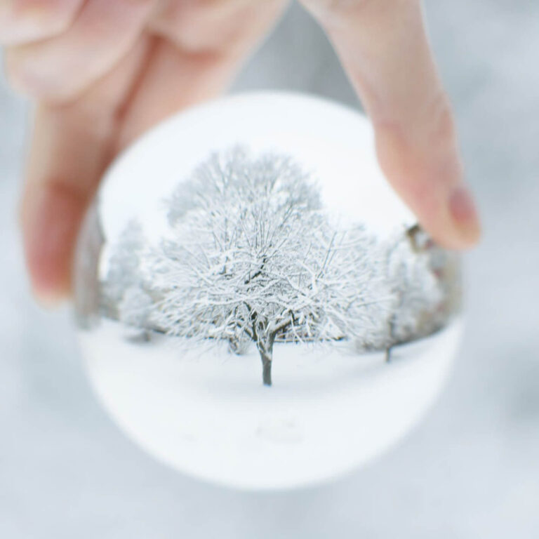 A Winter Wonderland In My Hand 2020 back