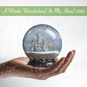 A Winter Wonderland In My Hand 2020