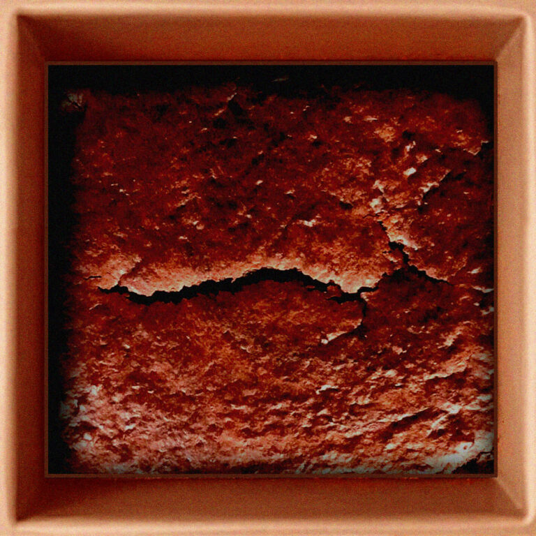 Chocolate Funk Bake back