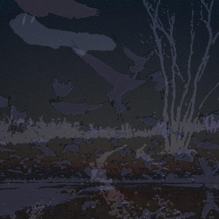 Dark End of an 80's Autumn back