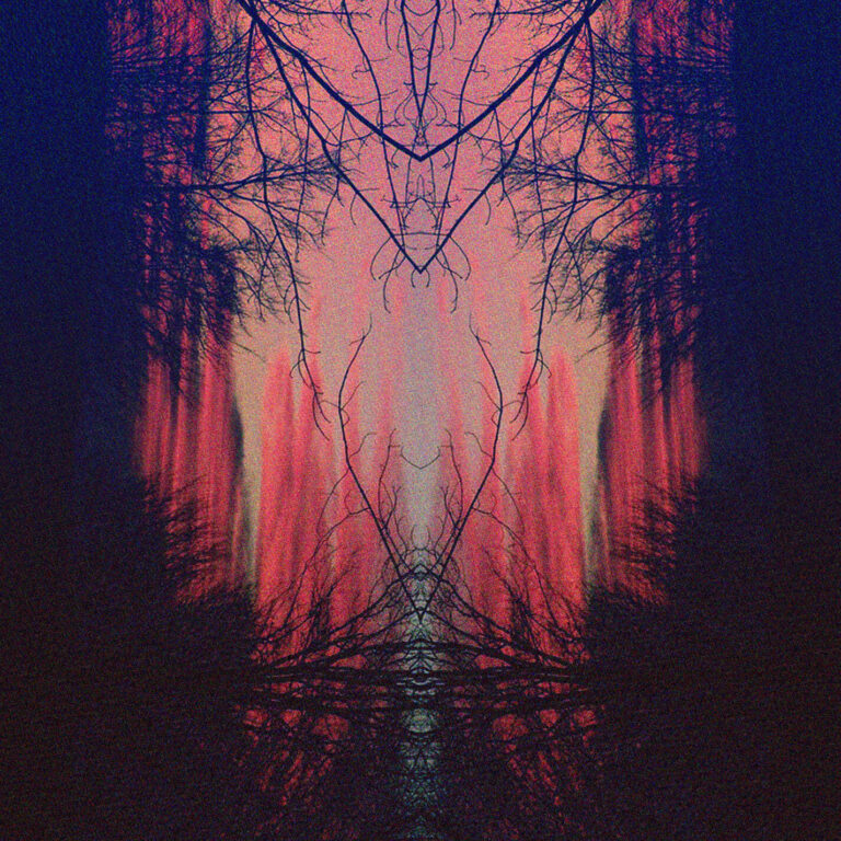 Dark End Of Autumn II back
