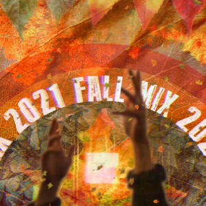 Fall Mix 2021