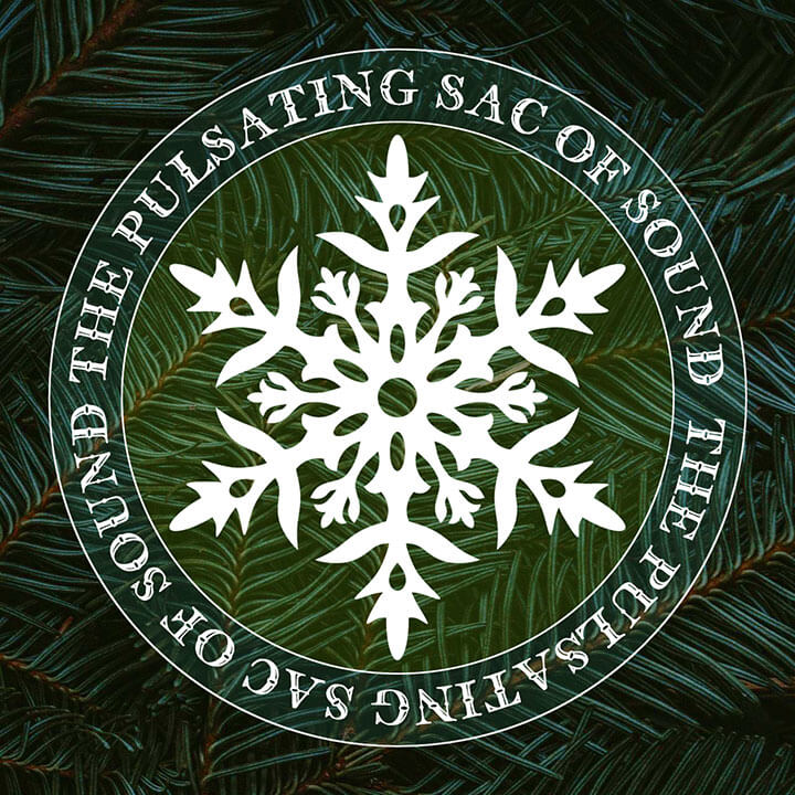 PSOS Logo 2021 - Winter