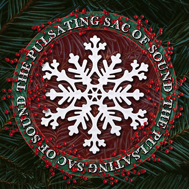 PSOS Logo 2021 - Xmas