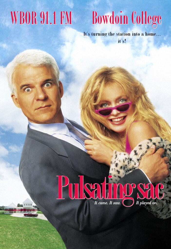 The Pulsating Sac of Sound - Housesitter