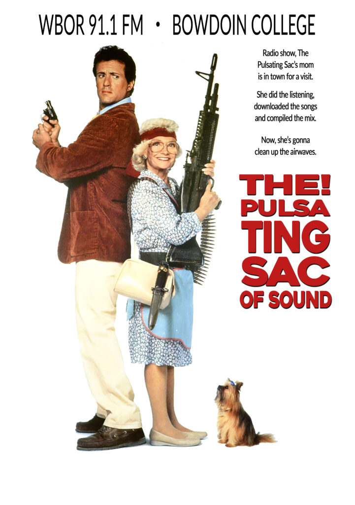 The Pulsating Sac of Sound - Stop or My Mom Will Shoot