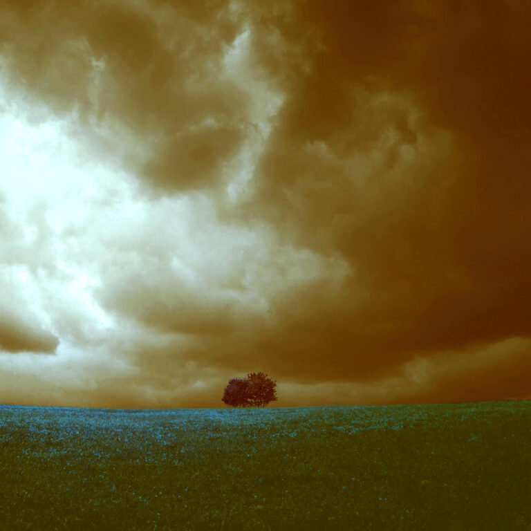 Spring, Dark & Deep 2022 back
