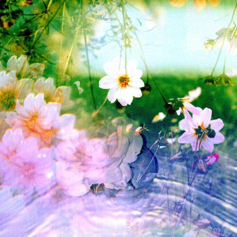 Spring Mix 2022 back