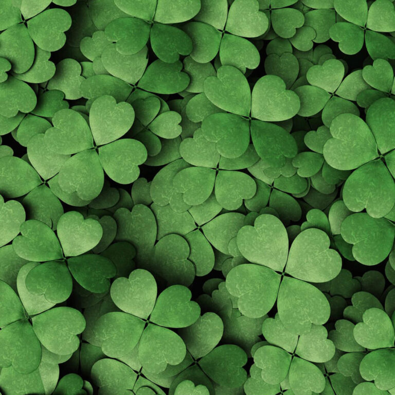 St. Paddy’s Mix back