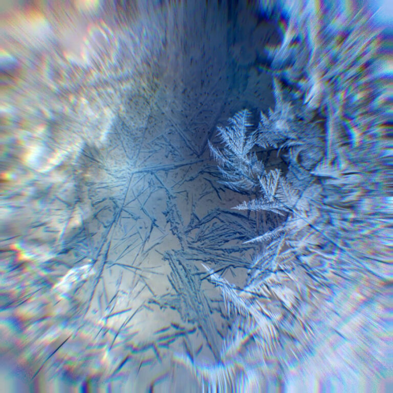 Winter Mix 2022 back