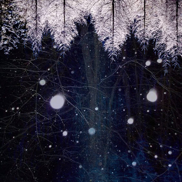 Winter Nytz 2023 back