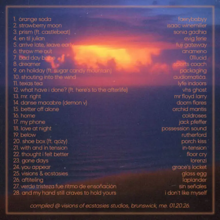 Chill Vibes Only, Vol. 5 back
