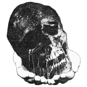 rotting skull logo 2026